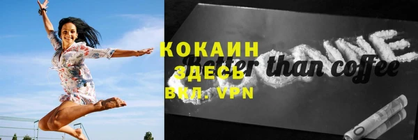индика Михайловск