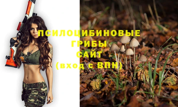 спиды Абинск