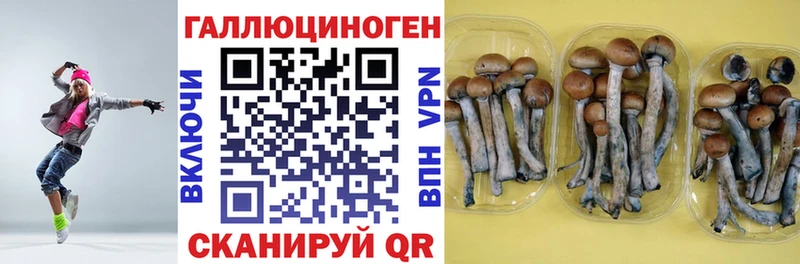 Псилоцибиновые грибы мицелий  Фурманов 